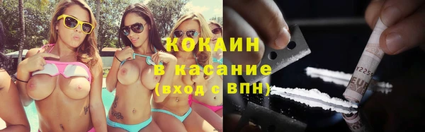 стаф Аркадак
