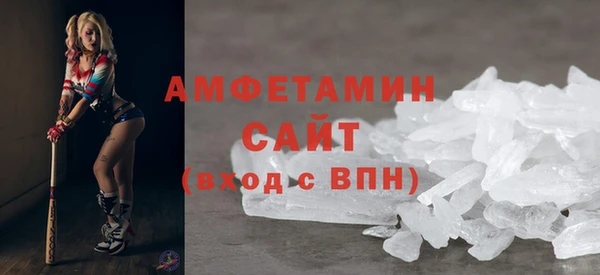 молекула духа Алексин