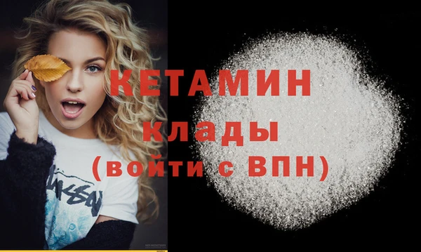 стаф Аркадак