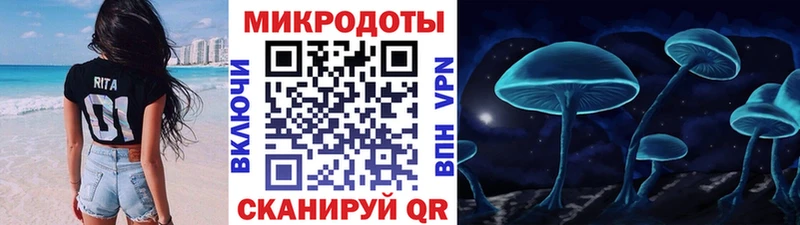Галлюциногенные грибы Psilocybe  даркнет какой сайт  Талдом 